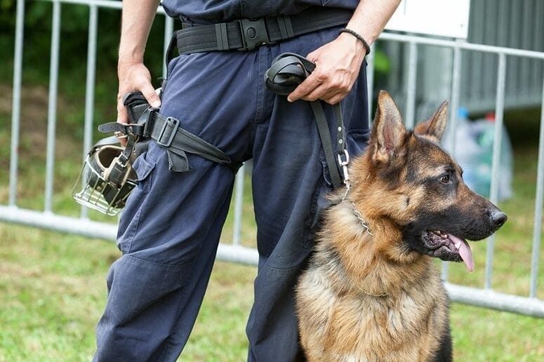 Maître-chien avec son berger allemand
